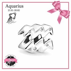 Aquarius ♒️ Charm